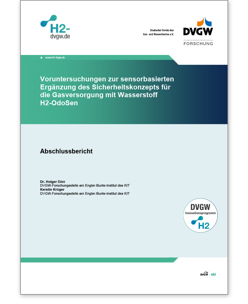 DVGW-Forschungsbericht G 202136 Ausgabe 2023
