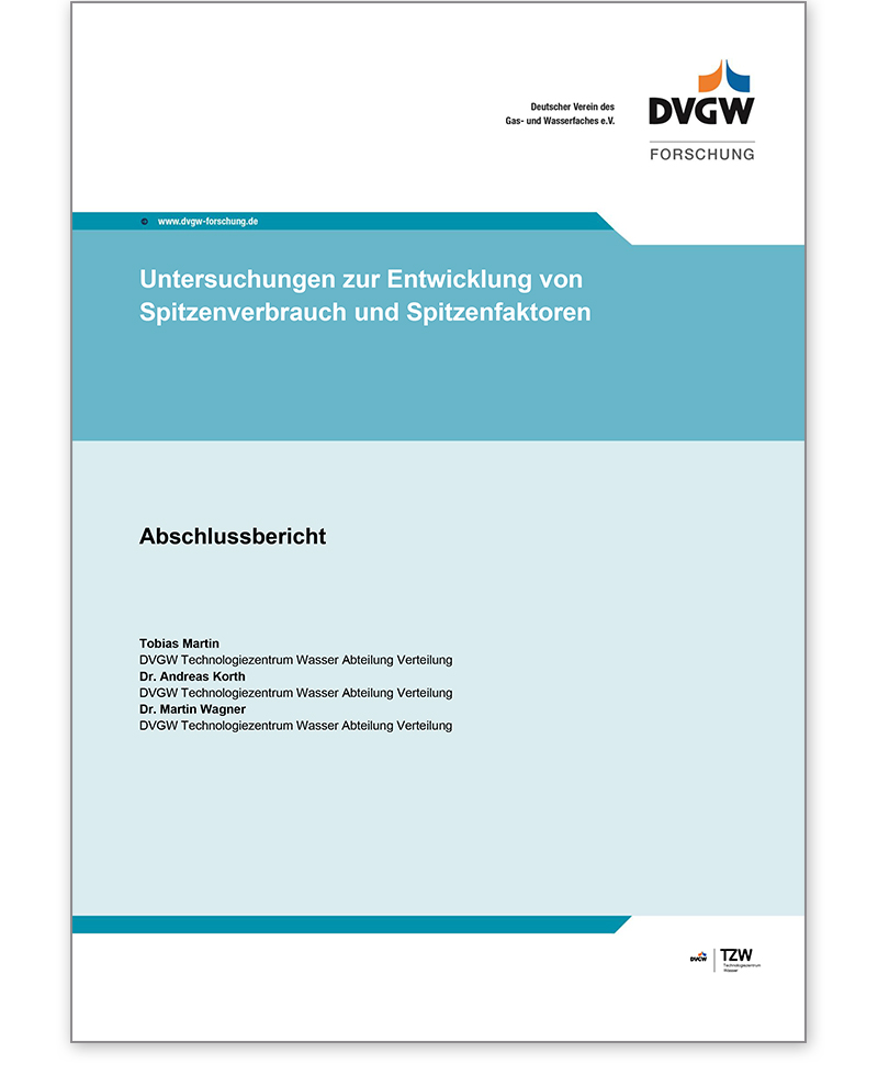 DVGW-Forschungsbericht W 201712 Ausgabe 2021