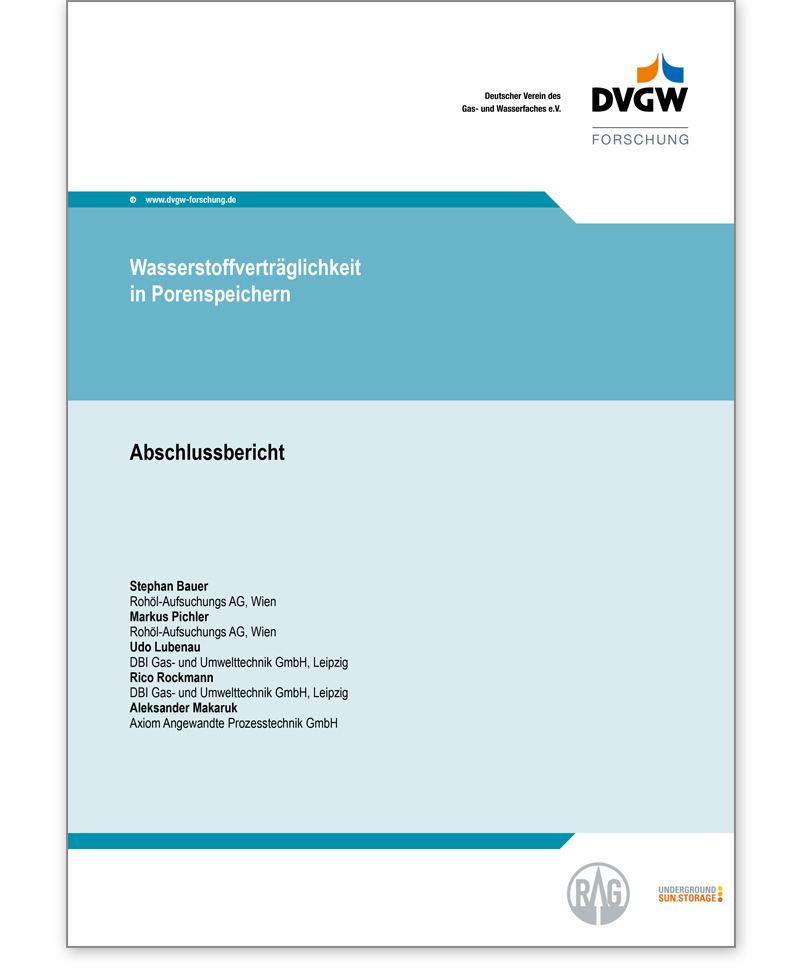 DVGW-Forschungsbericht G 201306