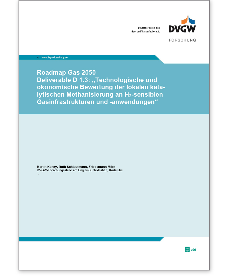 DVGW Forschungsbericht G 201824 D 1.3 Ausgabe 2023