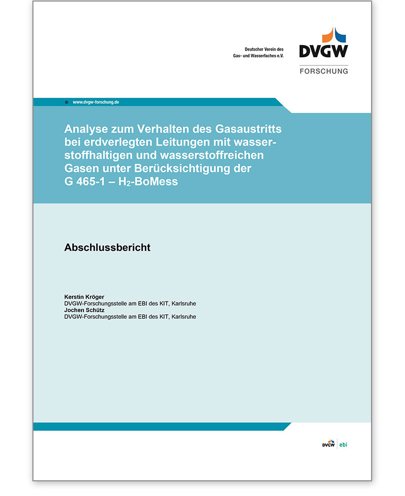 DVGW-Forschungsbericht G 202022 Ausgabe 2022