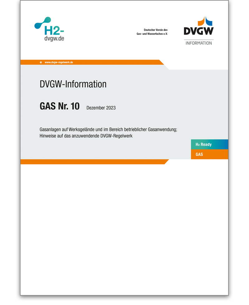 DVGW-Information Gas Nr. 10 Ausgabe 2023