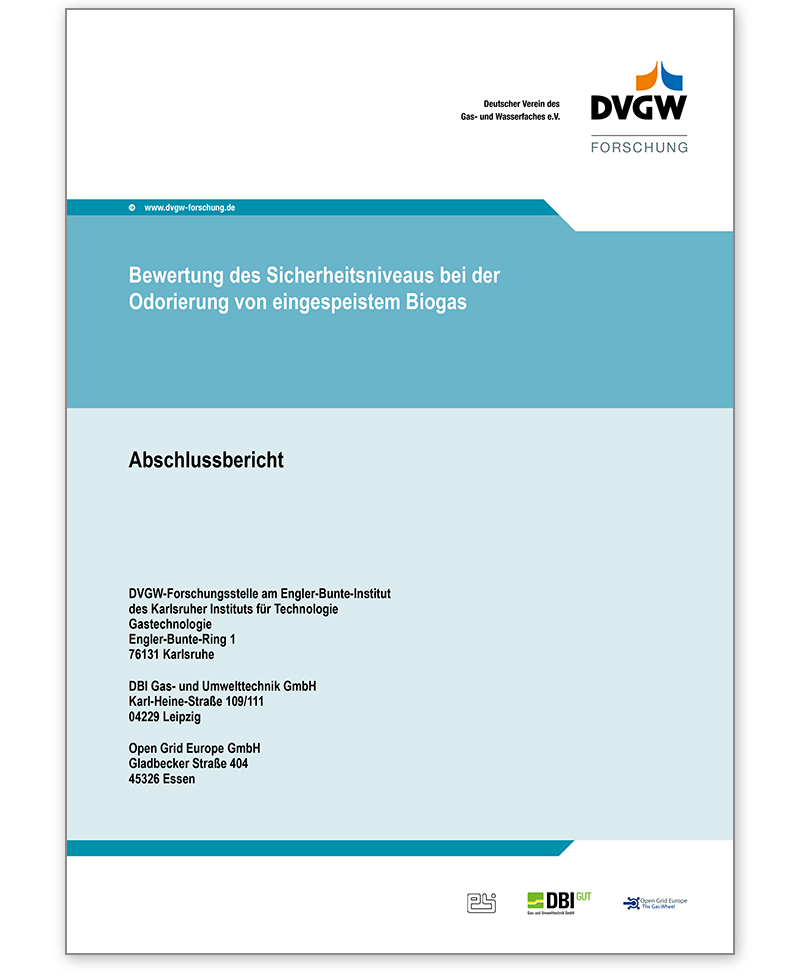 DVGW-Forschungsbericht G 201304