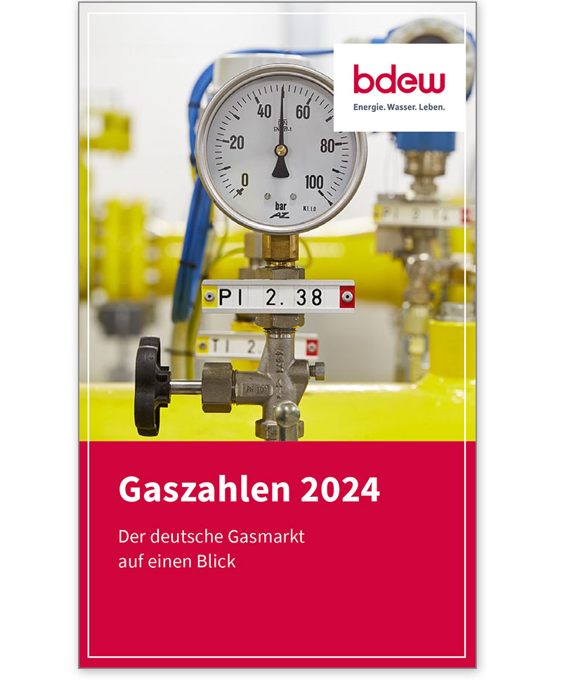 Faltblatt Gaszahlen 2024, der deutsche Gasmarkt auf einen Blick